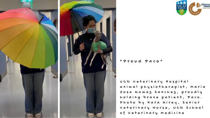 Physiotherapist with dog holding a rainbow umbrella
